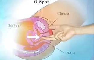 Orgasmus vom Vibrato ...