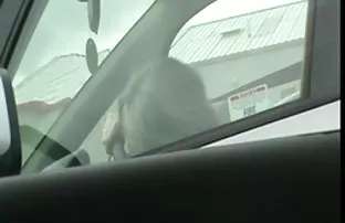 Schwarze Frau spring ...