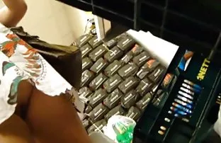 Rothaarige Hündin te ...