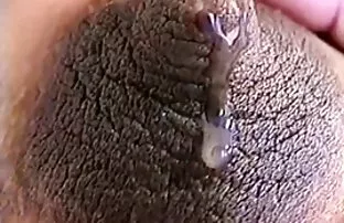 Trainer für Yoga fic ...