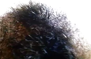 Russische Schönheit  ...