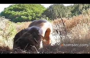 Vor dem Sex lange le ...