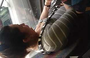 Zwei Hündinnen gefic ...