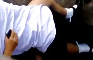 Schwarzes Pferd dehn ...