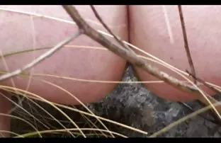 Junge lover fickt sa ...