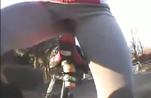 Eine Auswahl von sau ...