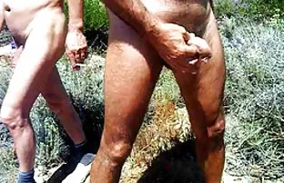 Bully zwei Färsen In ...