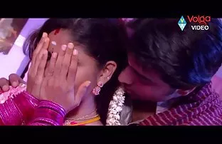 Hündin die Rute den  ...