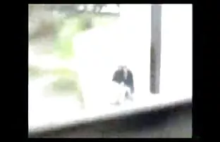 Schlechte schwarz Sa ...