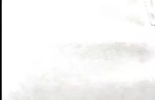 Anmalt Fotze in den  ...