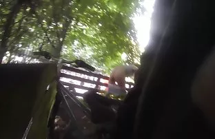 Unersättliche Dedok  ...