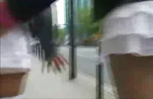 Zwei Hündinnen ficke ...