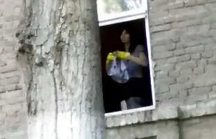 Eine Auswahl von ana ...