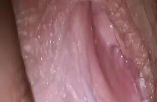 Süße Hündin nach Pos ...