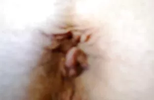 Weiß der Wirt machte ...