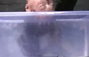 Die erfahrene reiter ...