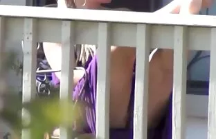 Zwei Hündinnen hat e ...