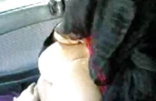 Fickt zwei kurvenrei ...