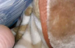 Eine Auswahl von 3D  ...