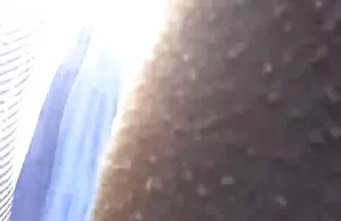 Dreier mit Park mit  ...