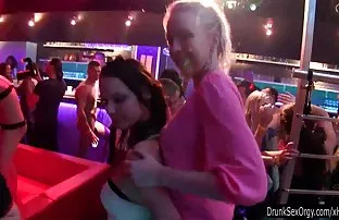 Zwei Färsen ausgezei ...