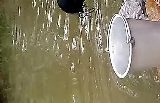 Grob in den Arsch ve ...