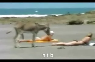 Zärtlichen Sex mit e ...