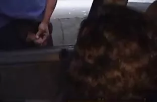 Gefickt in beide Löc ...