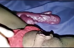 Legte Krebs und ziem ...