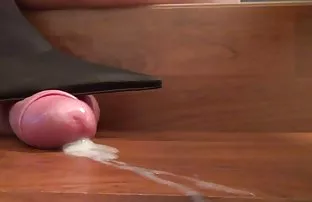 Hündin fickt in Anal ...