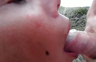 Die russische Firma  ...