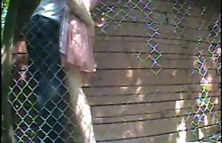 Wild habe ich in den ...