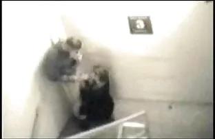 Silikon Madame lutsc ...