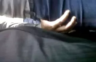 Gepflanzt im Punkt d ...