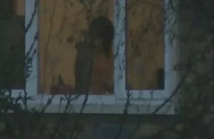 Fuhr Schwanz in die  ...