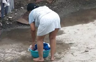 Bruder züchtete Schw ...