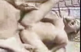 Hot Chili Pepper Anu ...