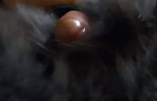 Enten gefickt schöne ...