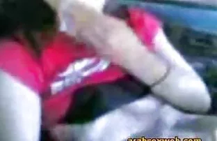 Die Aufnahme von pri ...