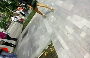 Unersättliche Schlam ...