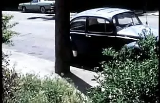 Steigen frisches Spe ...