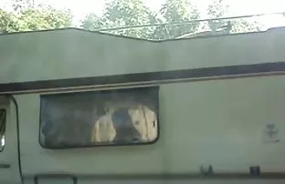 im Wald Wesen von ei ...