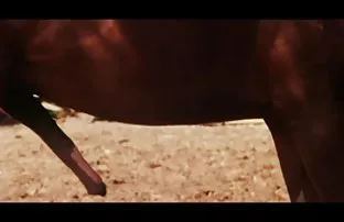 Fickt Punkt in russi ...