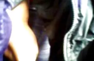 tolle Hündin auf den ...