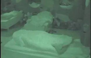 Russisch Bursche züc ...